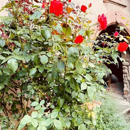 Origin アパート ゲーバーシュヴィア