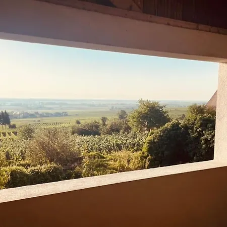 Origin アパート ゲーバーシュヴィア