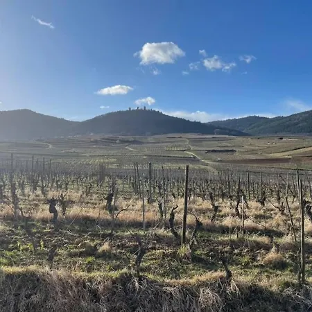 Origin * Gueberschwihr